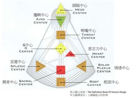 九大能量|人類圖的生命能量：九大能量中心 